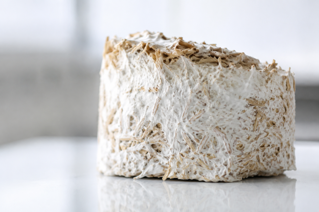 Mycelium material showing mushroom leather texture and development process in laboratory setting demonstrating innovation